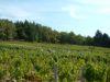 DSCF0049.JPG