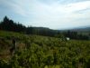 DSCF0051.JPG
