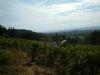 DSCF0052.JPG