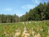 DSCF0054.JPG